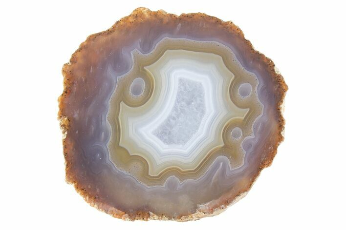 Polished Purple & Orange Banded Agate - Kerrouchen, Morocco #372665